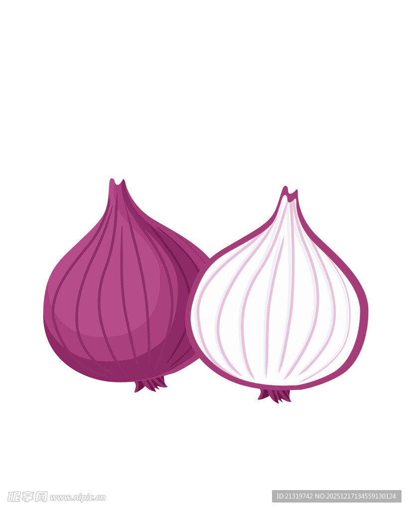 洋葱素材