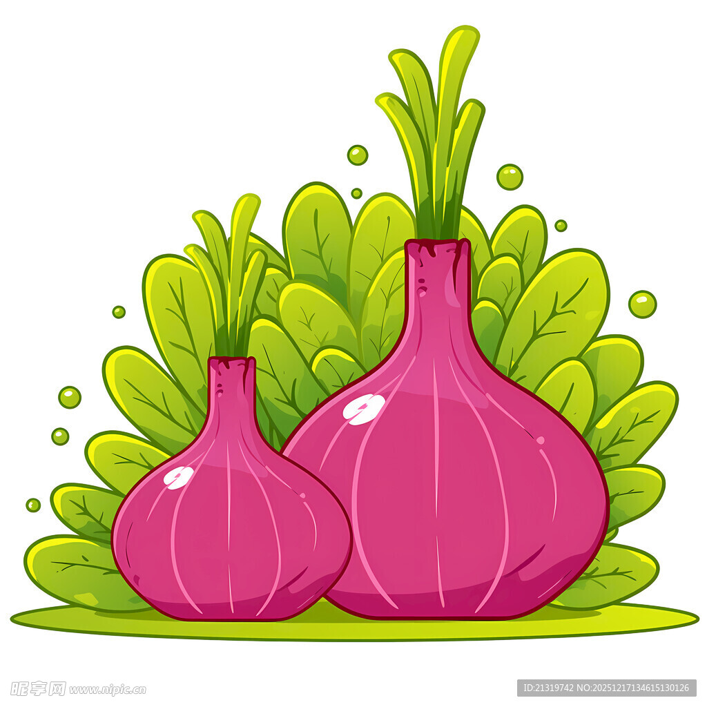 洋葱素材