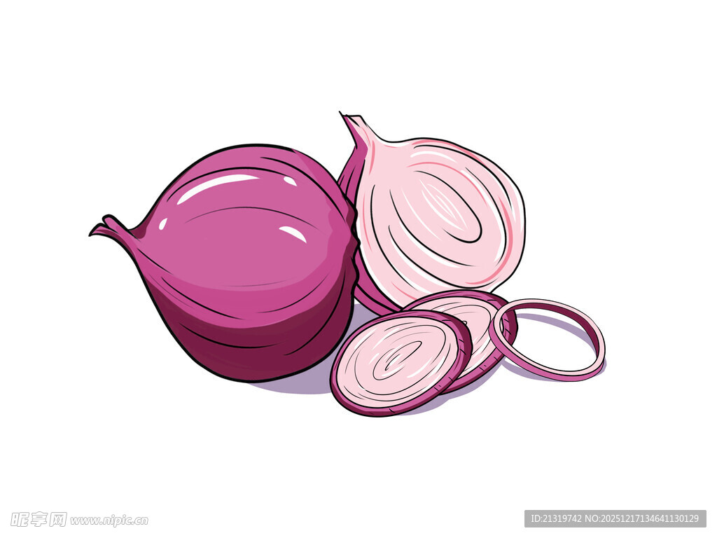 洋葱素材