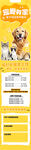 宠物寄养长图