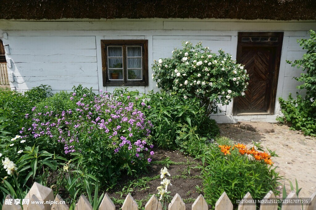 乡村小屋旁的缤纷花卉