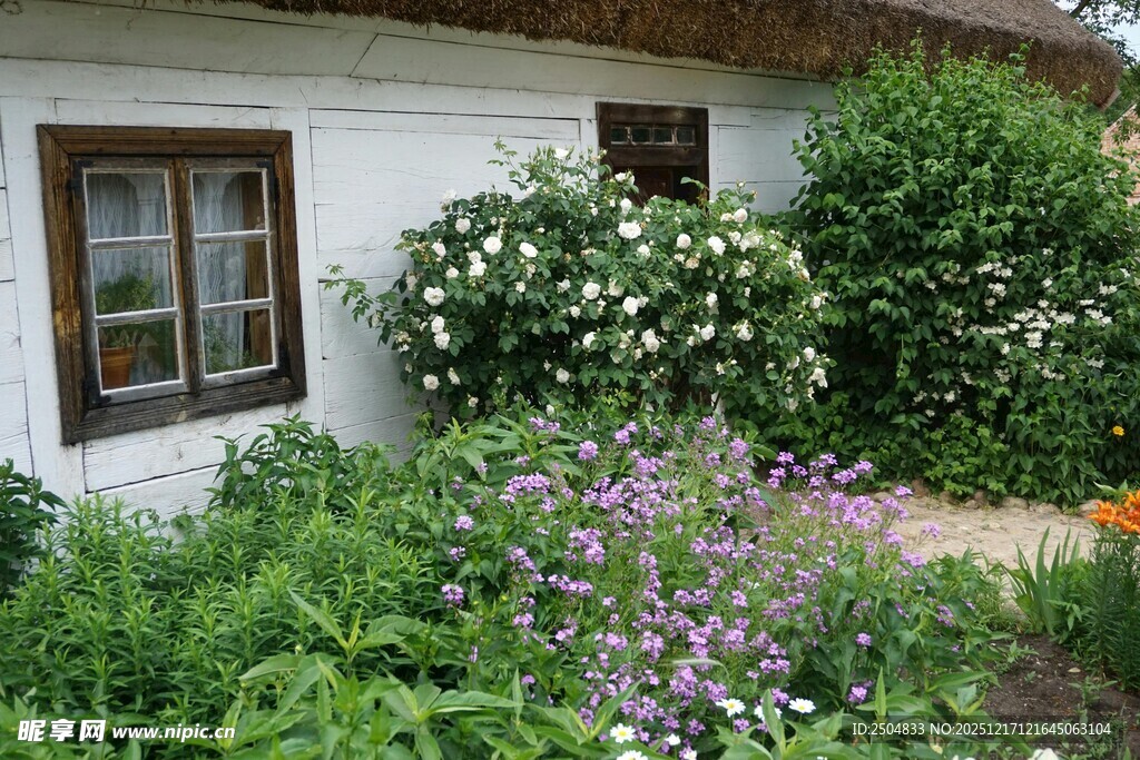 田园小屋旁的繁茂花草