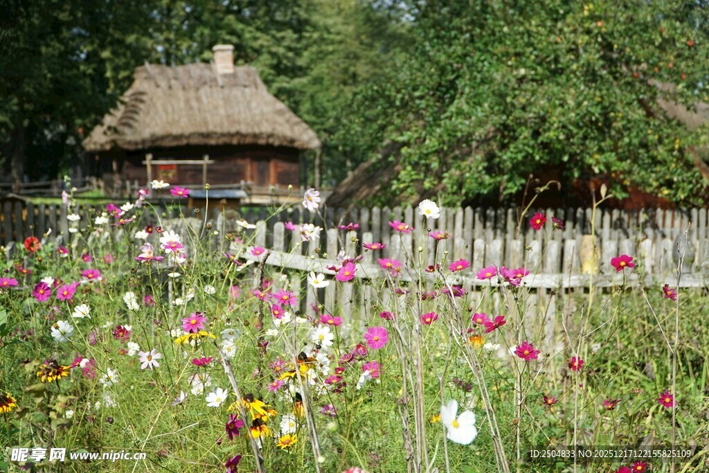 田园小屋旁的缤纷花田