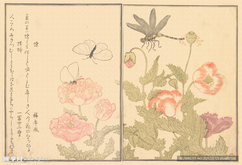 中式古画花卉蜻蜓图景