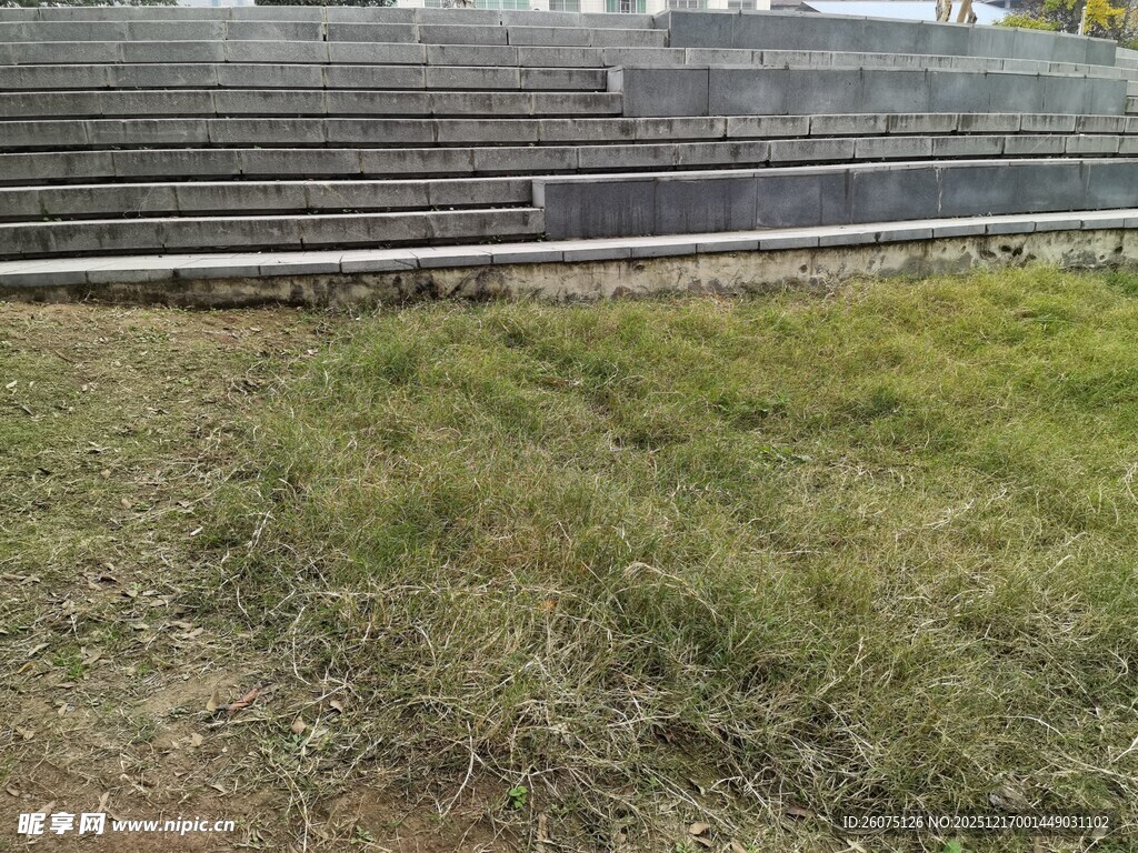 户外草地与阶梯场景