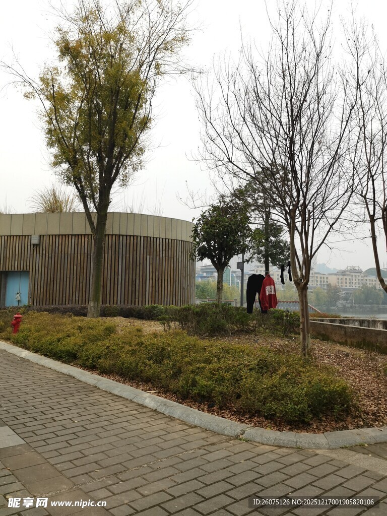 冬日公园静谧景观