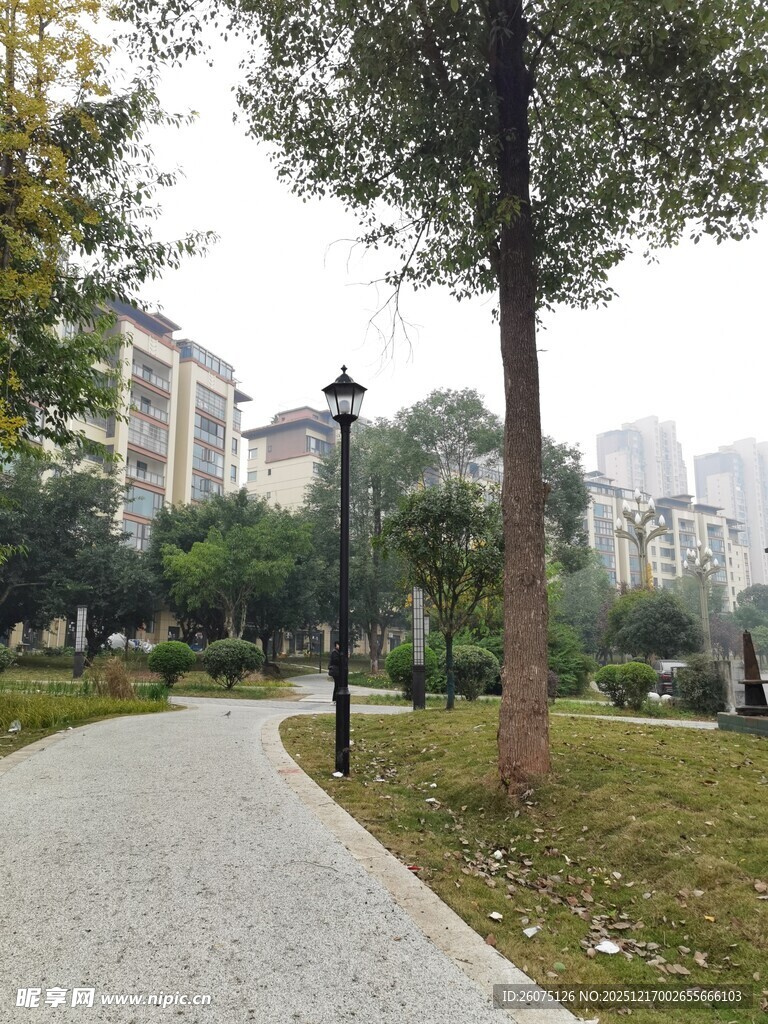 城市公园中的宁静小路