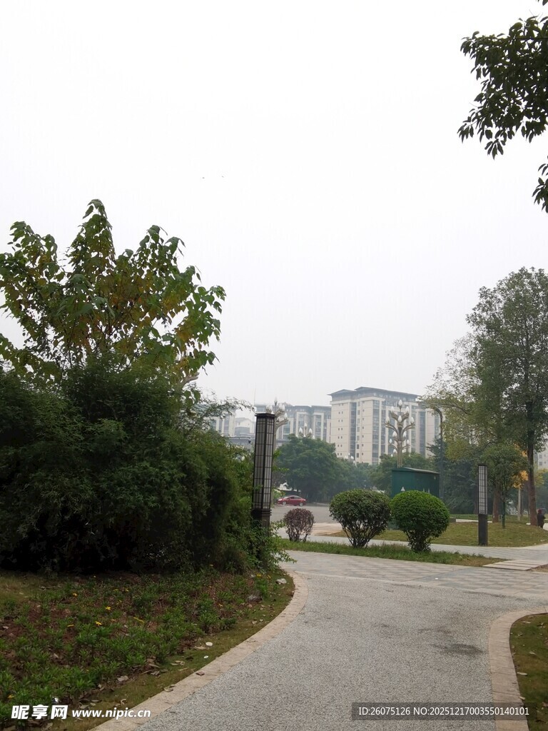 城市中的宁静林荫小道