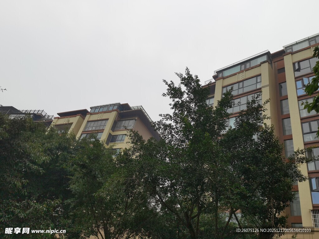 绿树掩映下的居民楼