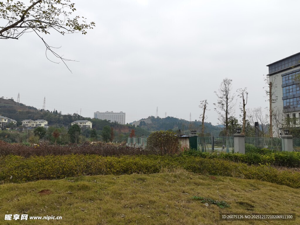 户外开阔草地与建筑景观