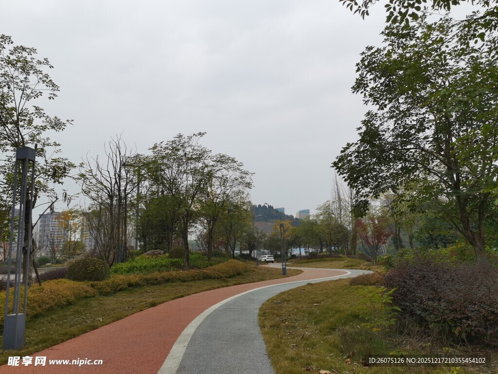 蜿蜒多彩的公园小径