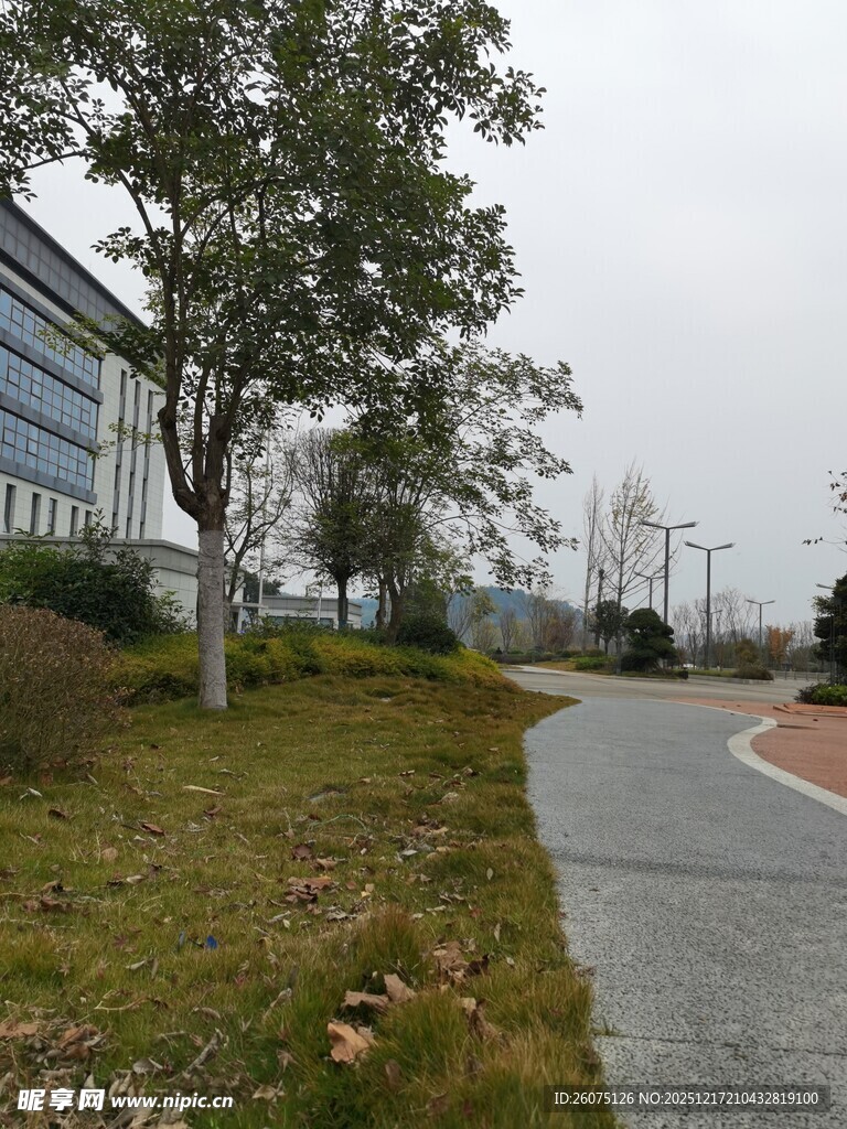 城郊小路旁的绿植与建筑