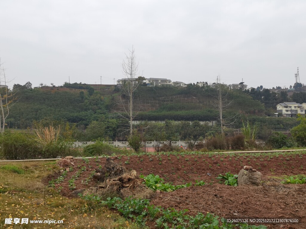 乡村田野风光景色