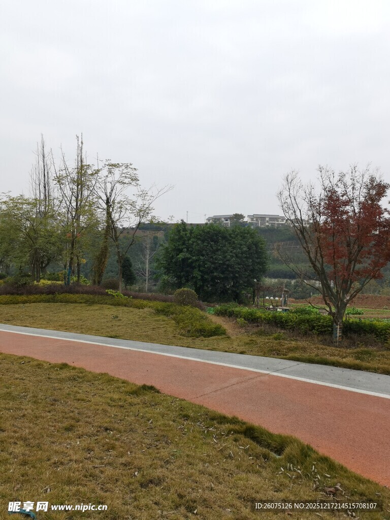 户外彩色步道与周边景致