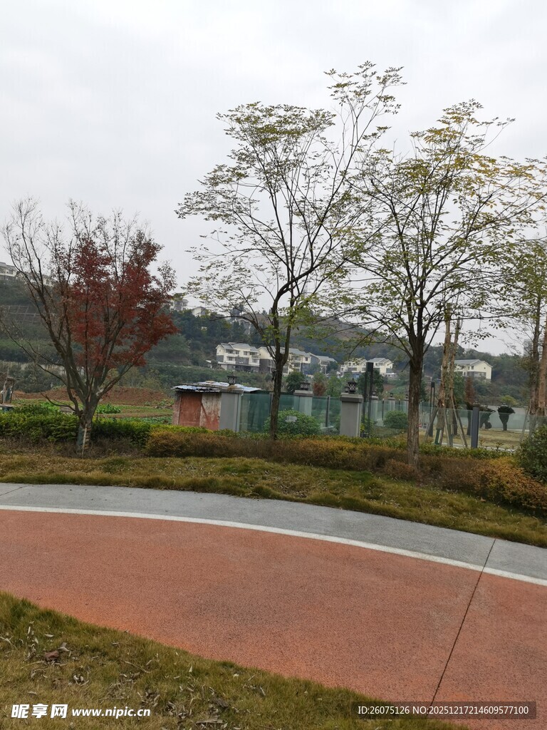 小区内的道路与绿化景观