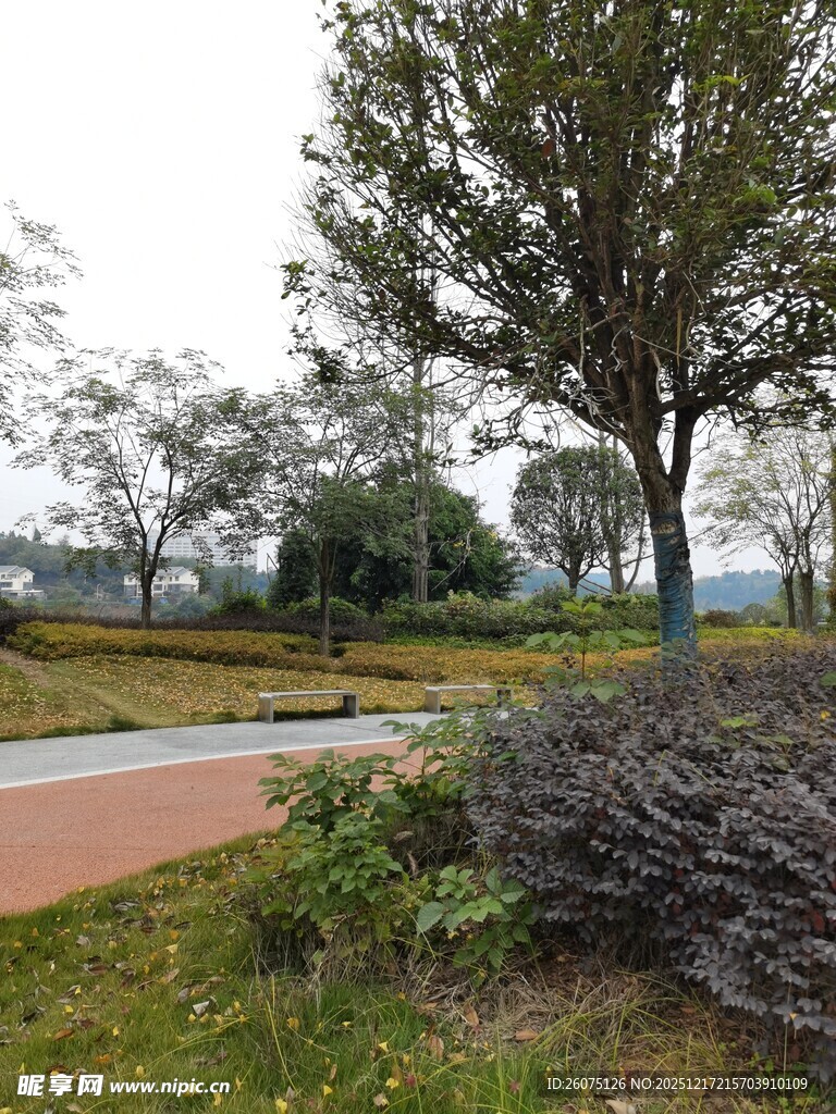 城市公园绿意景观