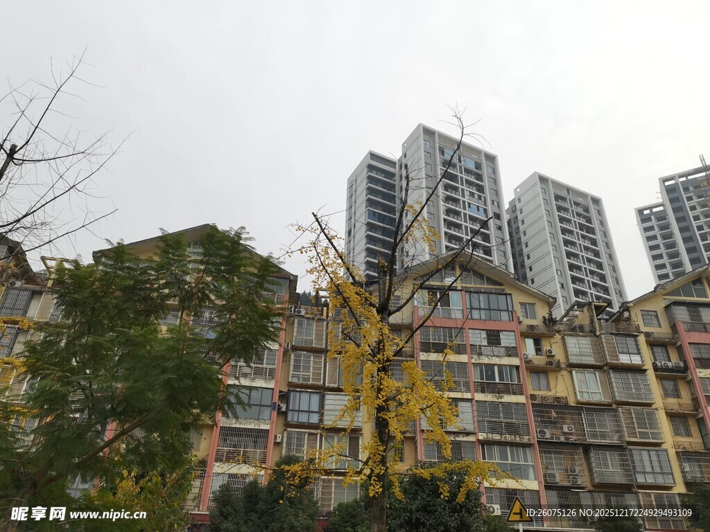 城市居民区中的高楼与植被