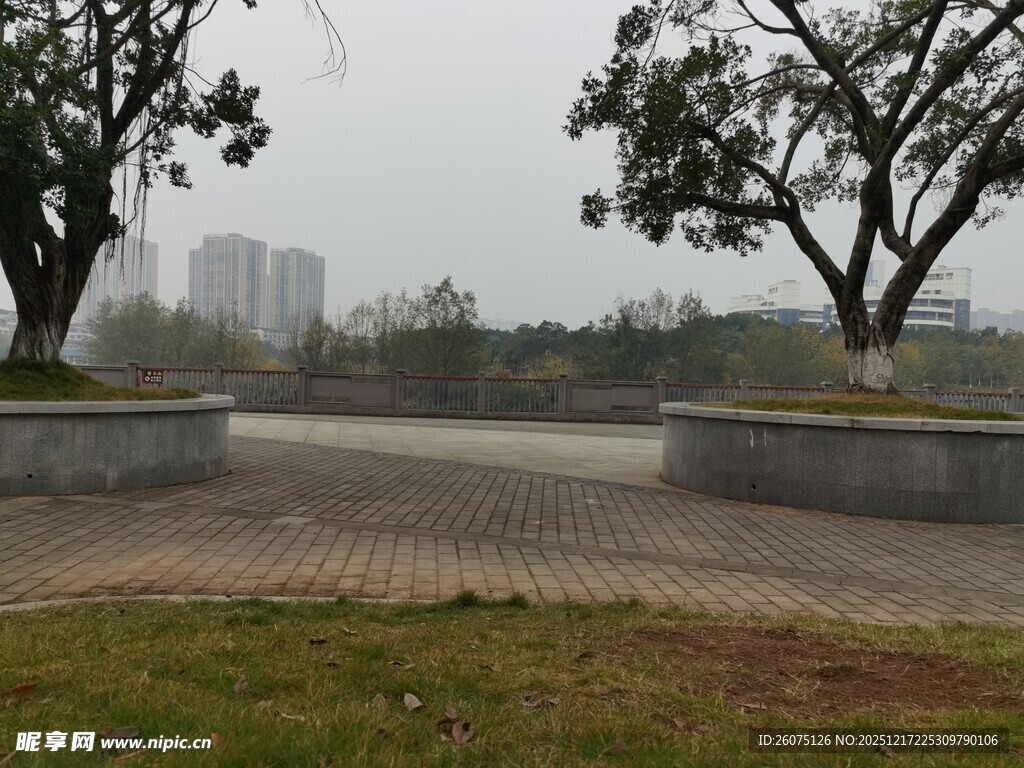 雾中公园的开阔景致