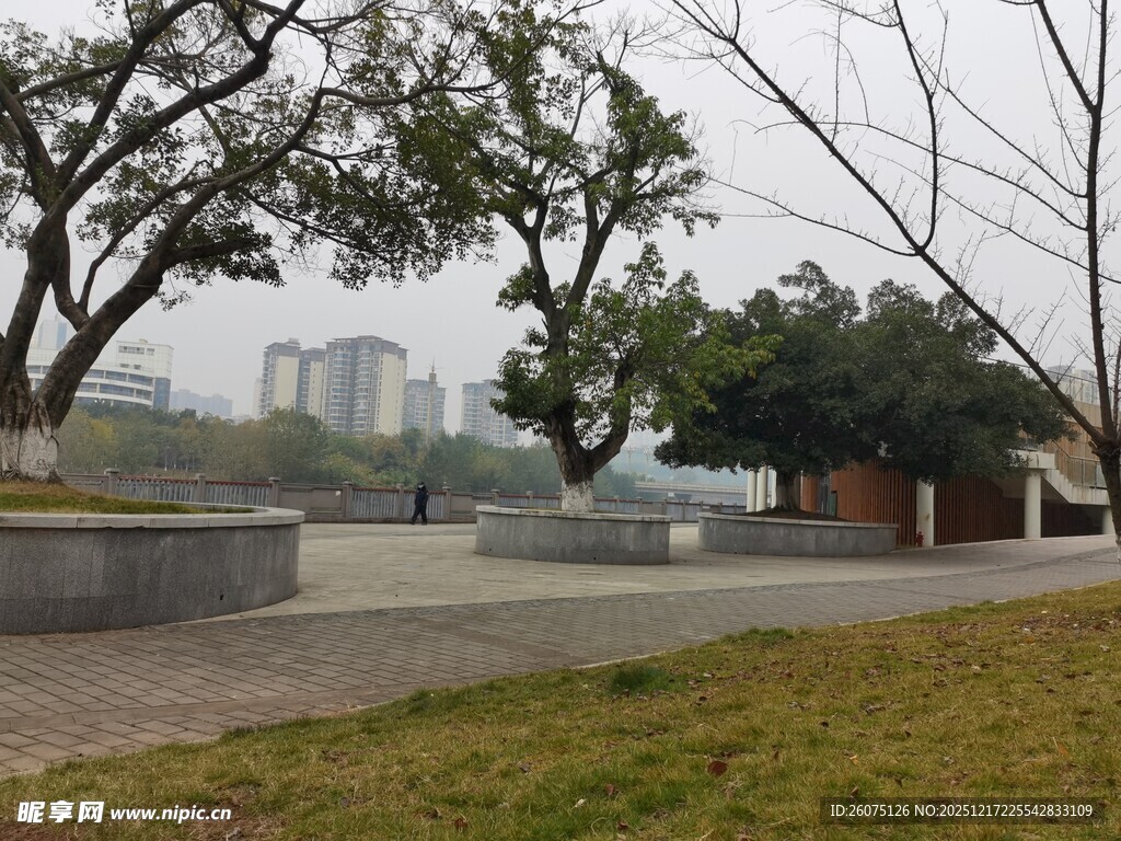 城市公园的宁静户外景致