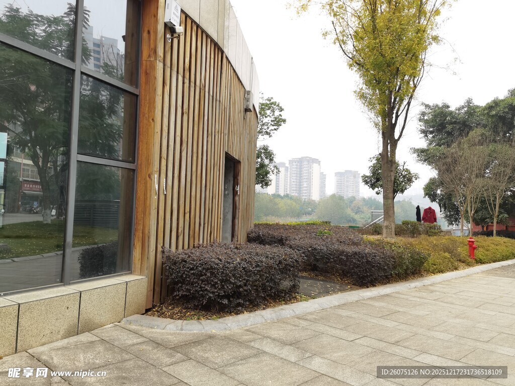 现代建筑旁的户外景观