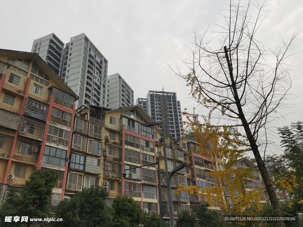 城市居民区景象