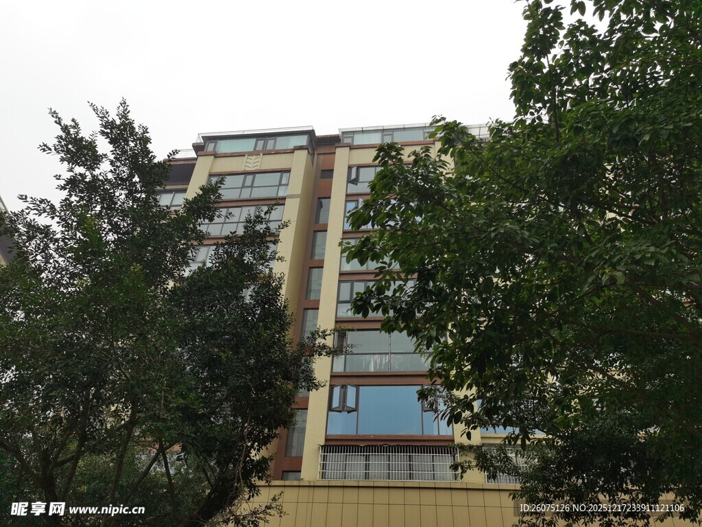 高楼旁绿树掩映的景致