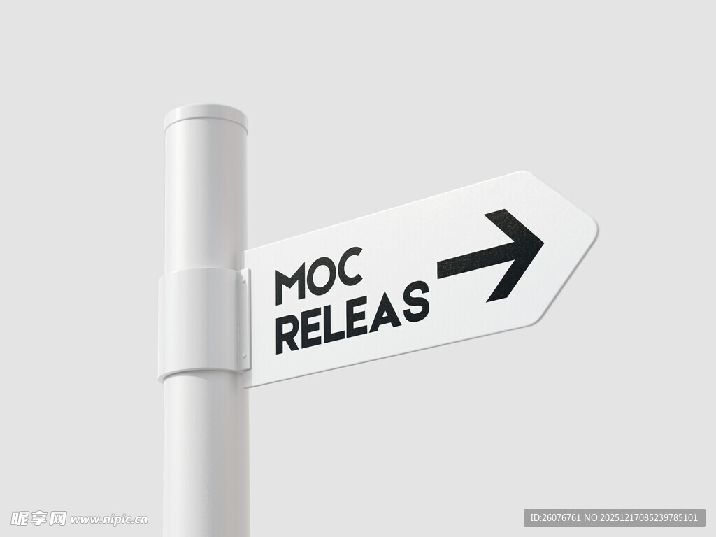 导向牌样机图片