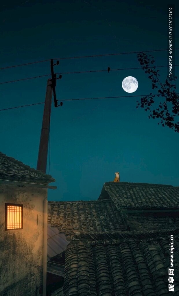 月夜下的屋顶静谧景象