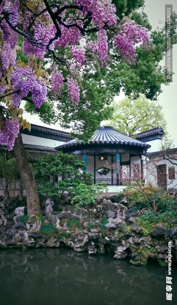 中式园林湖畔繁花美景