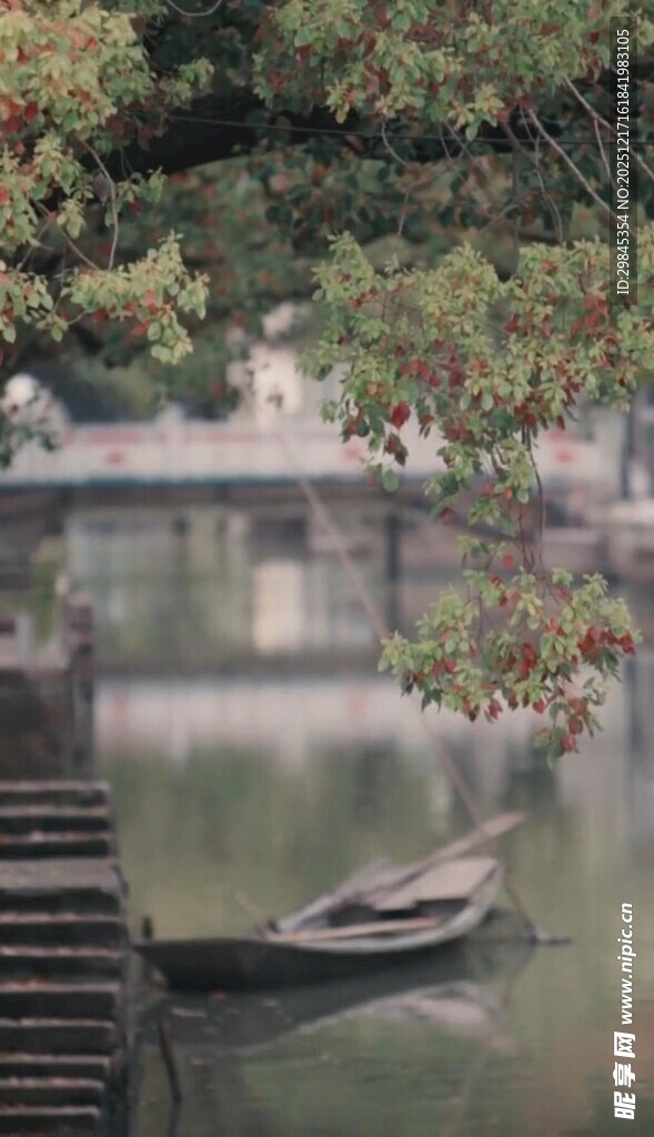江南水乡小船静谧景致