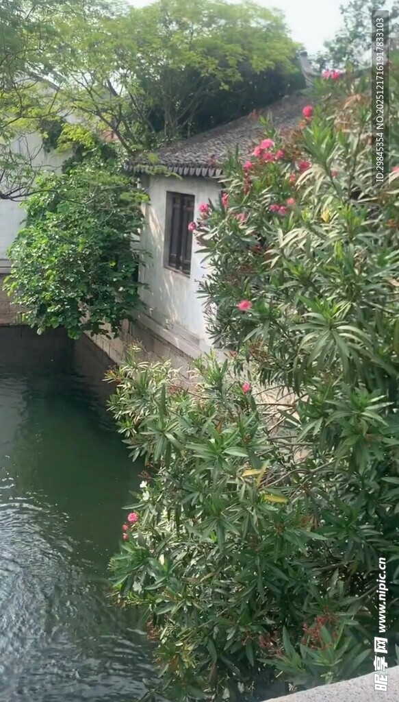 江南水乡绿意盎然景致