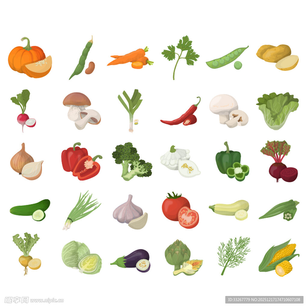 多样蔬菜插画展示