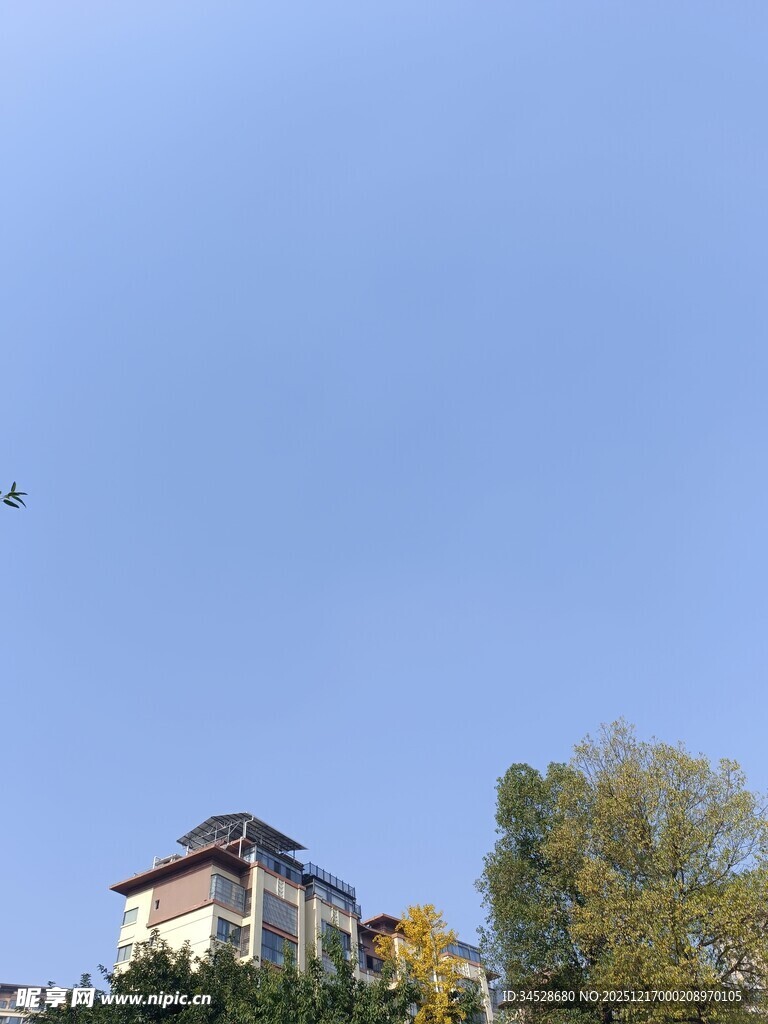 蓝天下的房屋与树木