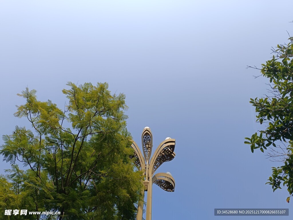 路灯与绿树映衬的天空