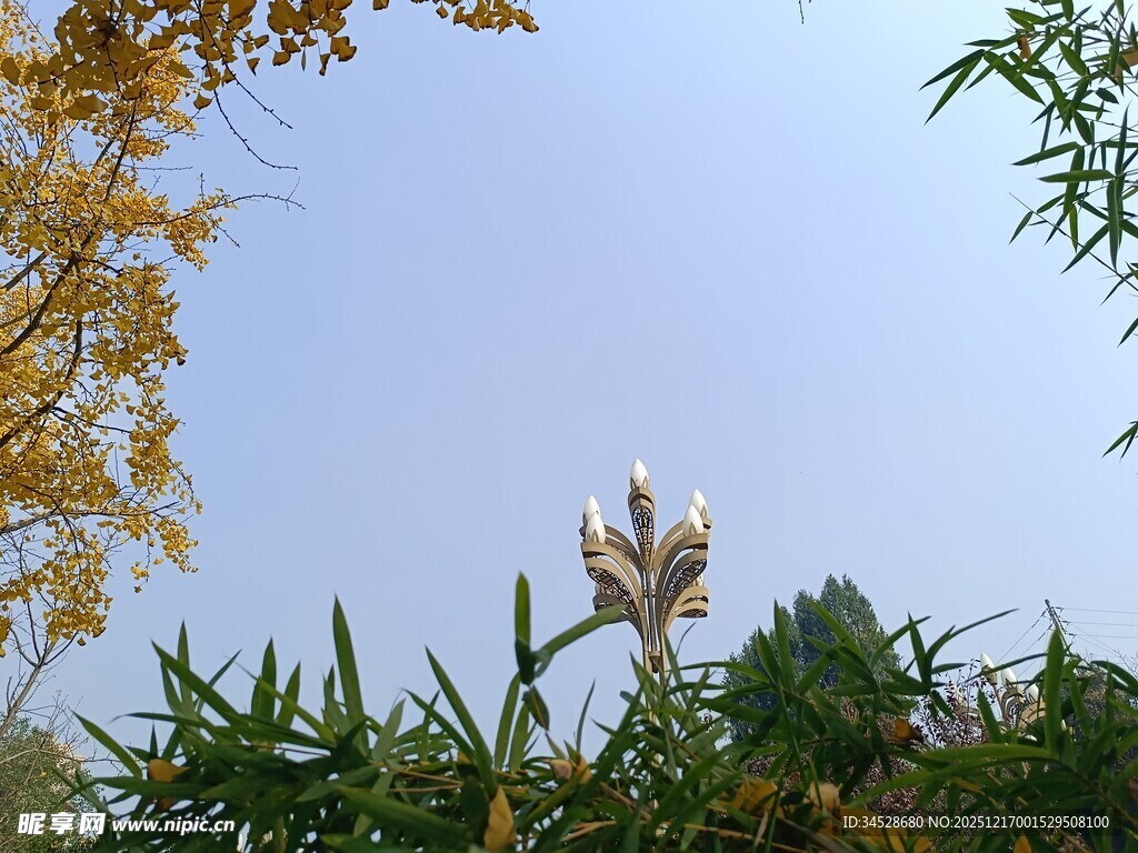 秋日植物与蓝天景致