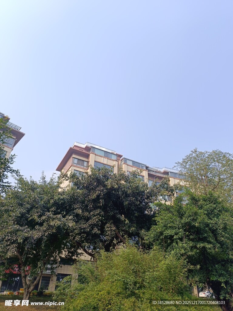 绿树环绕的多层建筑