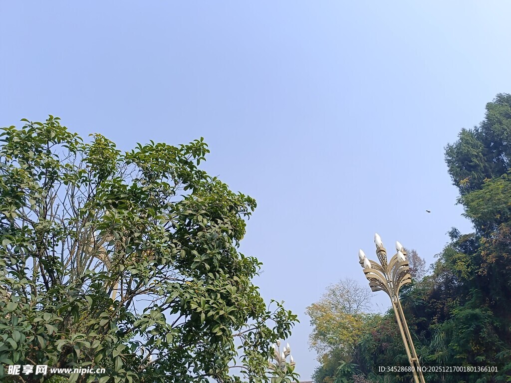 蓝天绿树间的户外景致