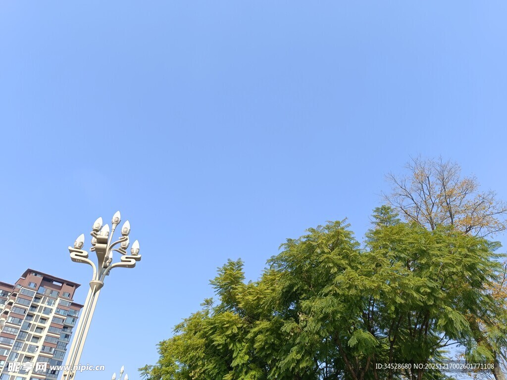 蓝天绿树旁的高楼与路灯