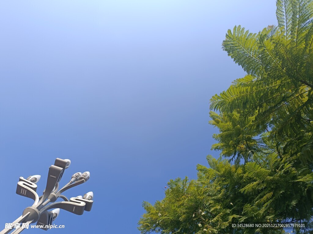 蓝天绿树间的独特灯具