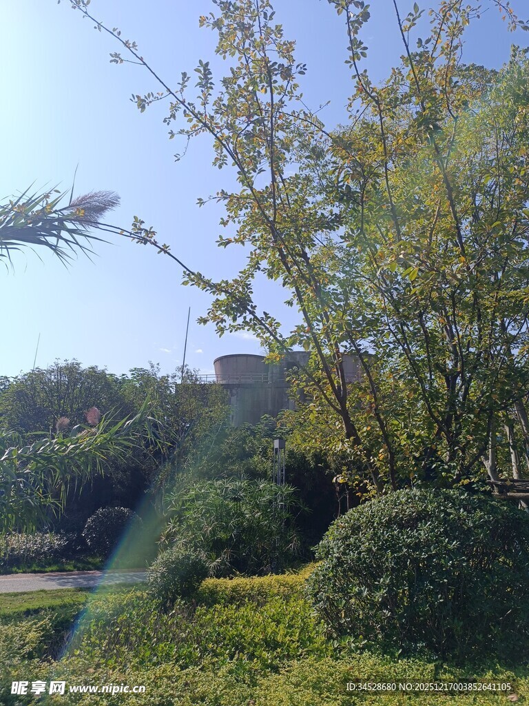 户外绿意盎然的园林景致