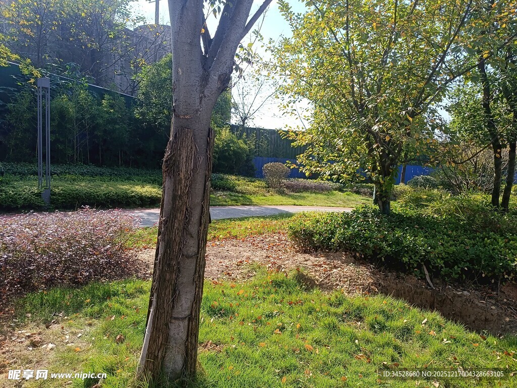 户外绿树草地自然景致