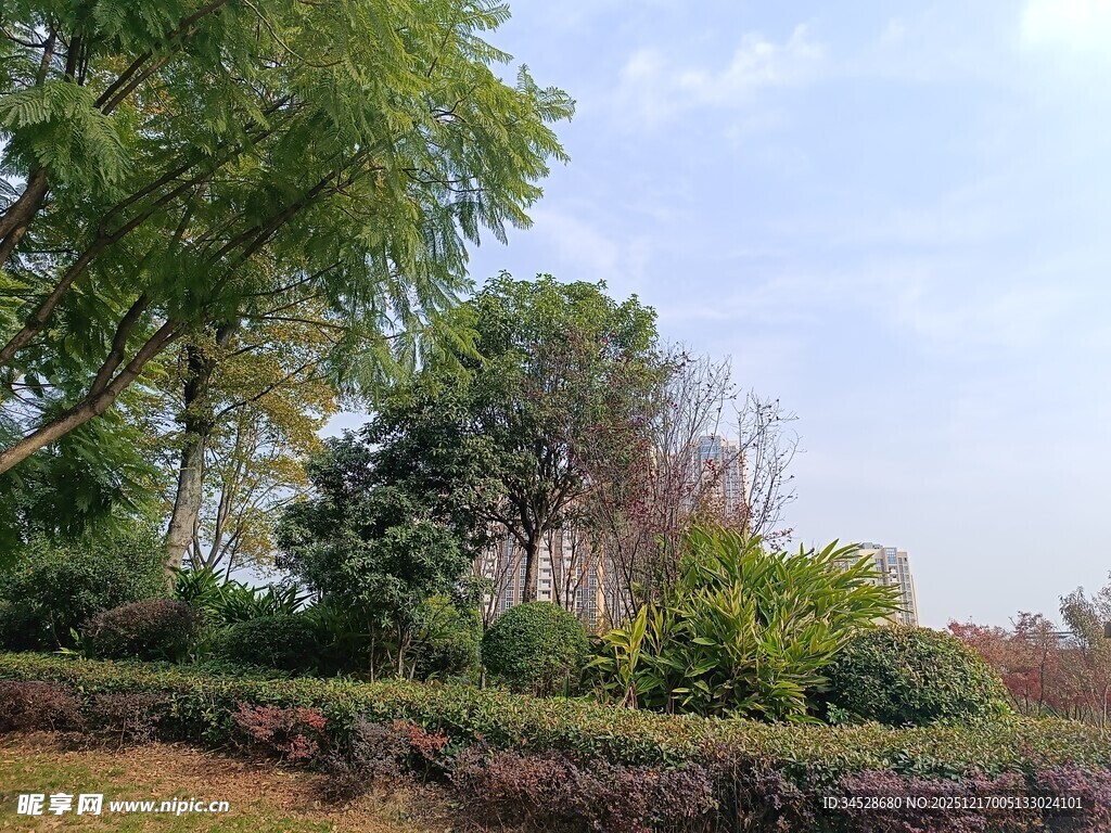 户外美丽园林景观