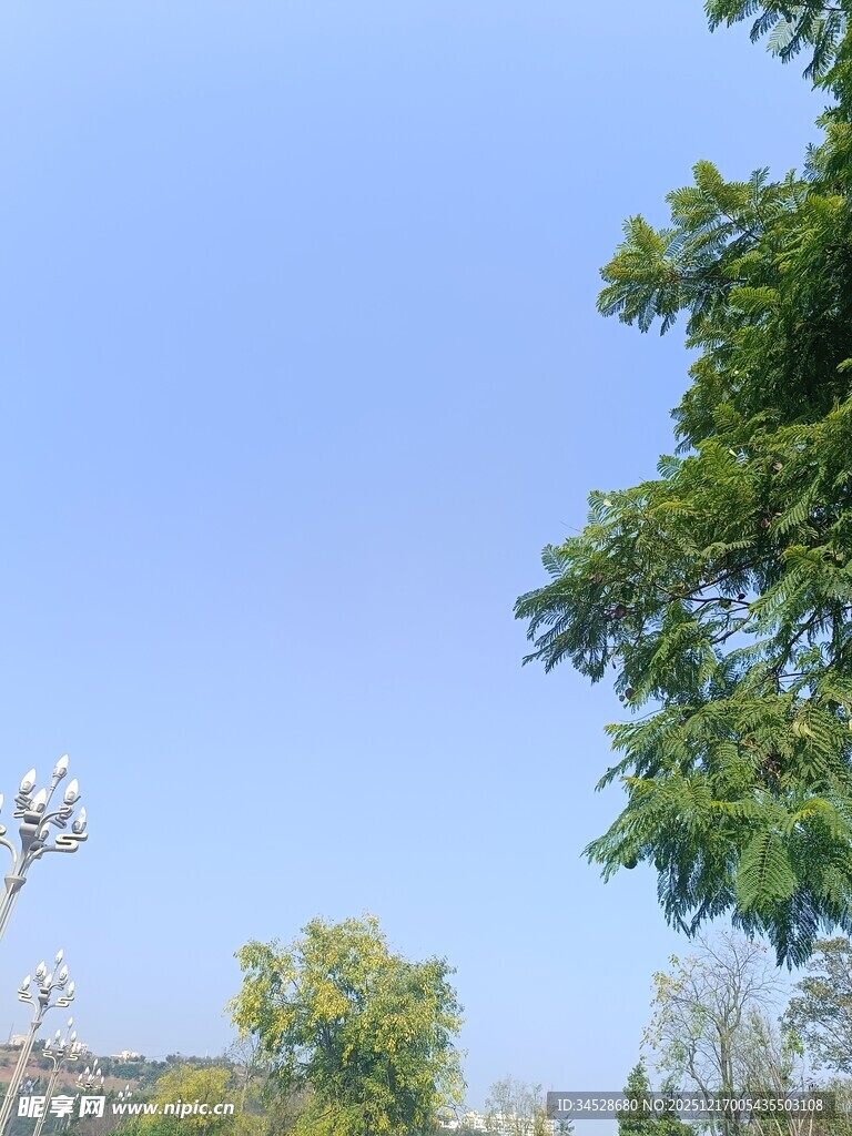 蓝天绿树间的户外景致