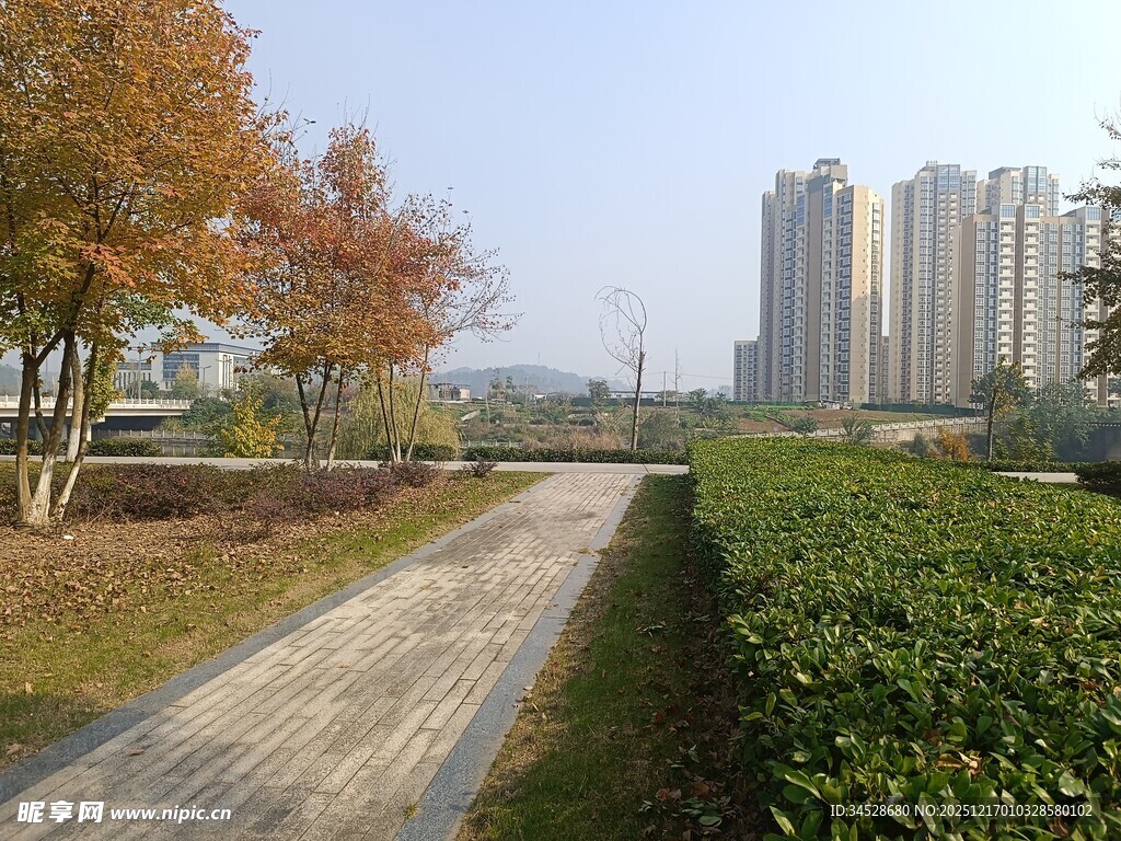 城市中的宁静林荫步道