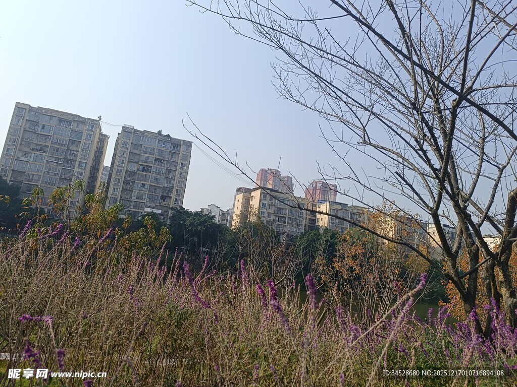 城郊荒野中的高楼远景