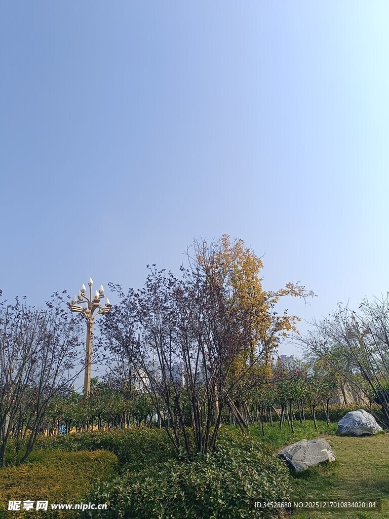 秋日户外草地树木风景图