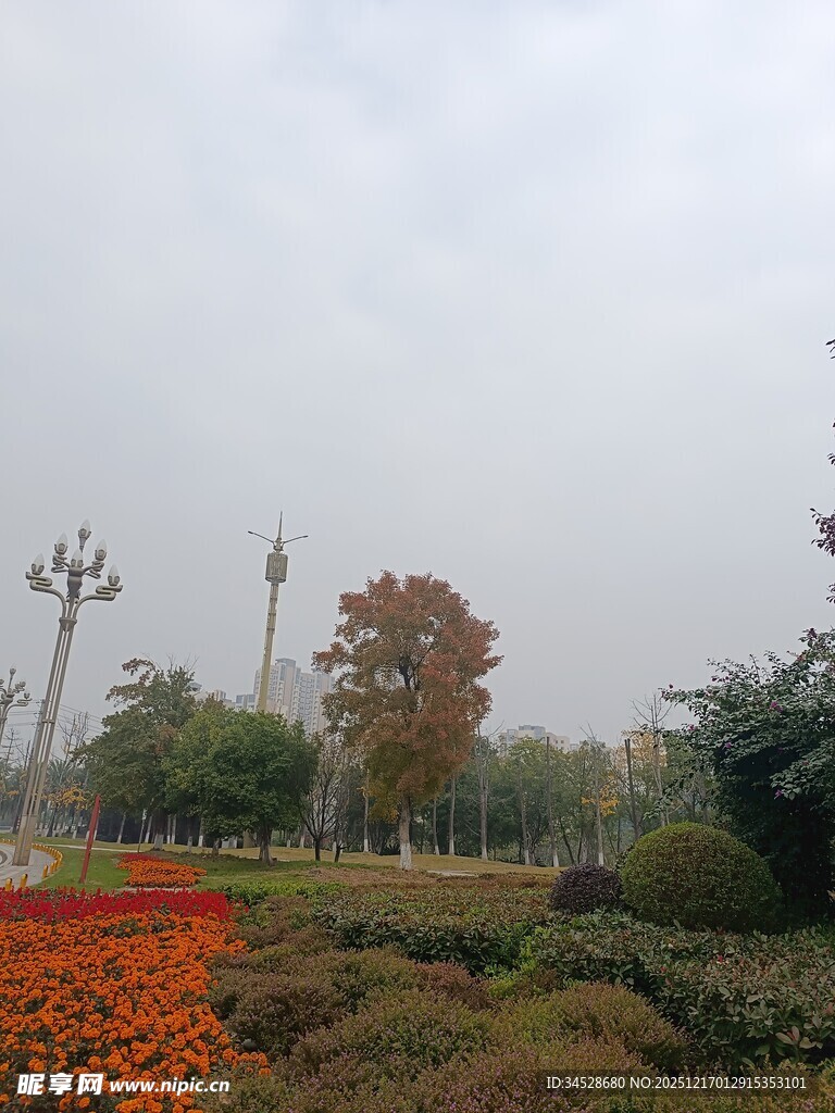 秋日公园花卉与树木景观