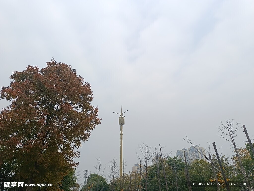 秋日雾中树木与高塔景观