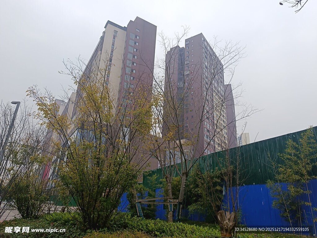 城市高楼旁的绿植景观