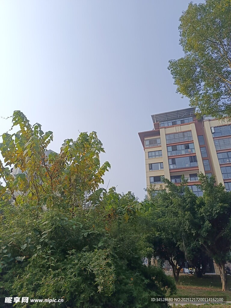 绿树环绕的多层建筑